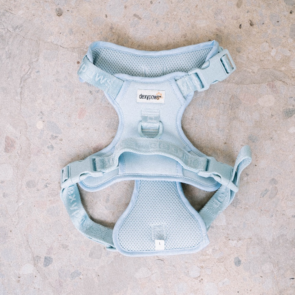 DexyPaws Sky Blue No-Pull Dog Harness - Size L